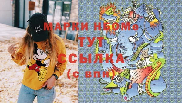 гашик Богданович