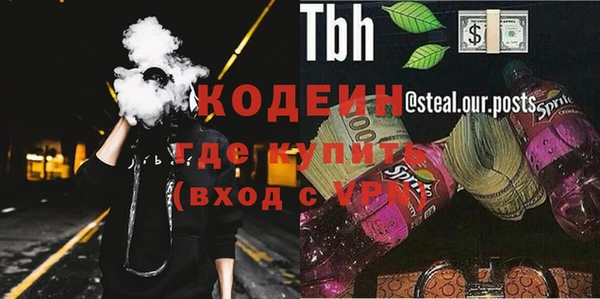 гашик Богданович