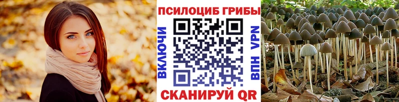 Галлюциногенные грибы Cubensis  Купить закладки  Очёр 